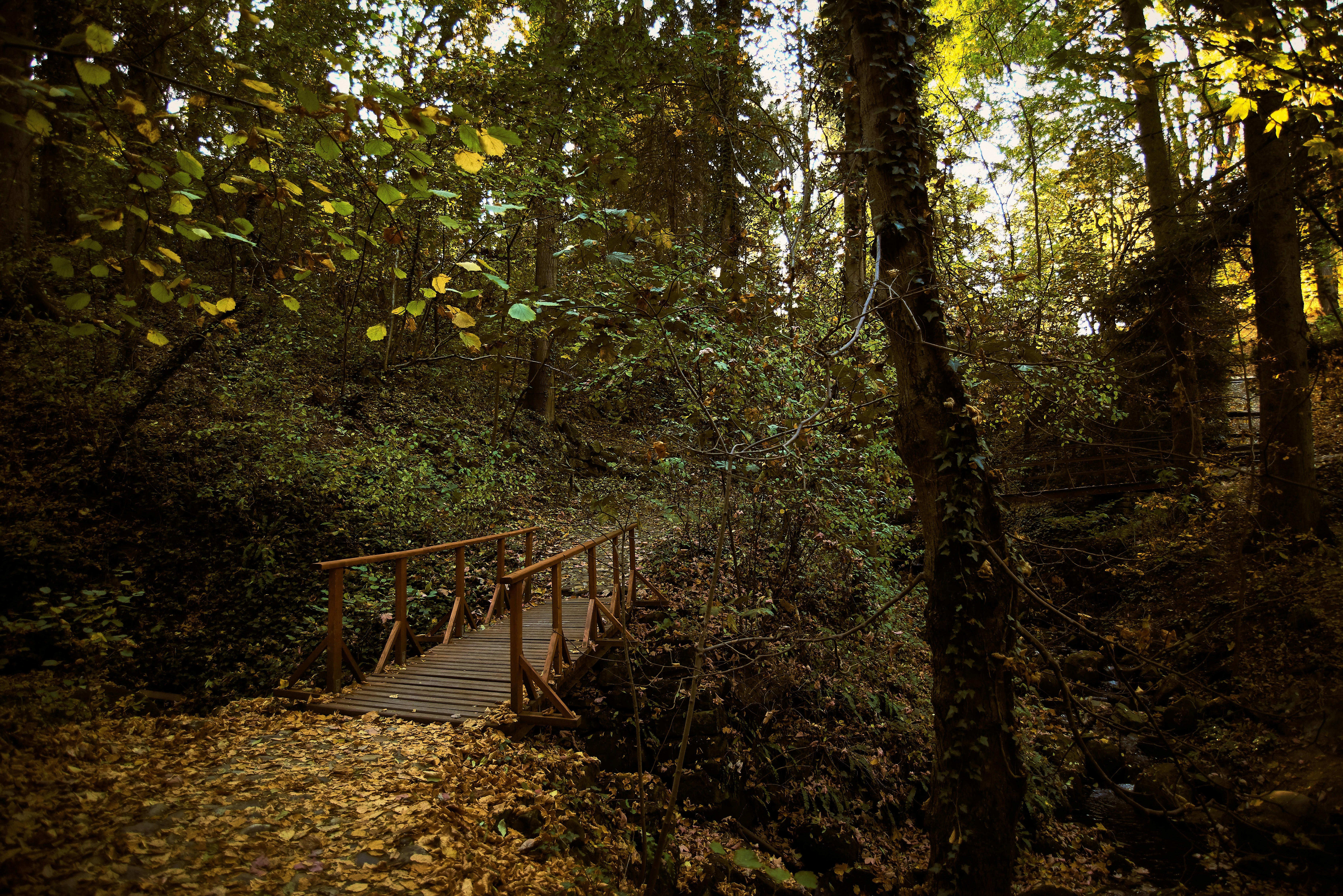 Photo by gabrielatorzsa