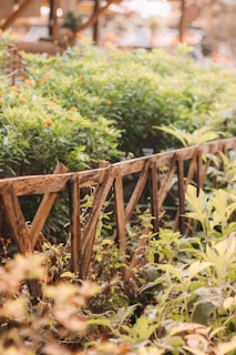 A cozy homestead garden with raised beds, chickens roaming nearby, and a rustic wooden fence under soft morning light.