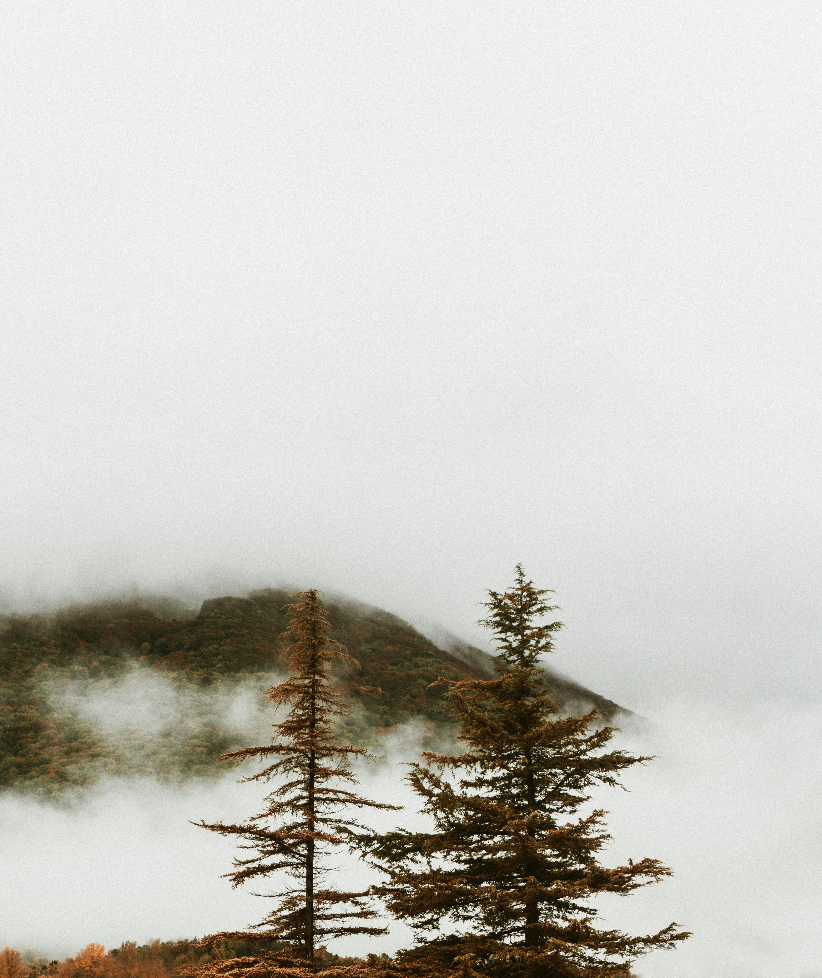 Photo by marcocalignano