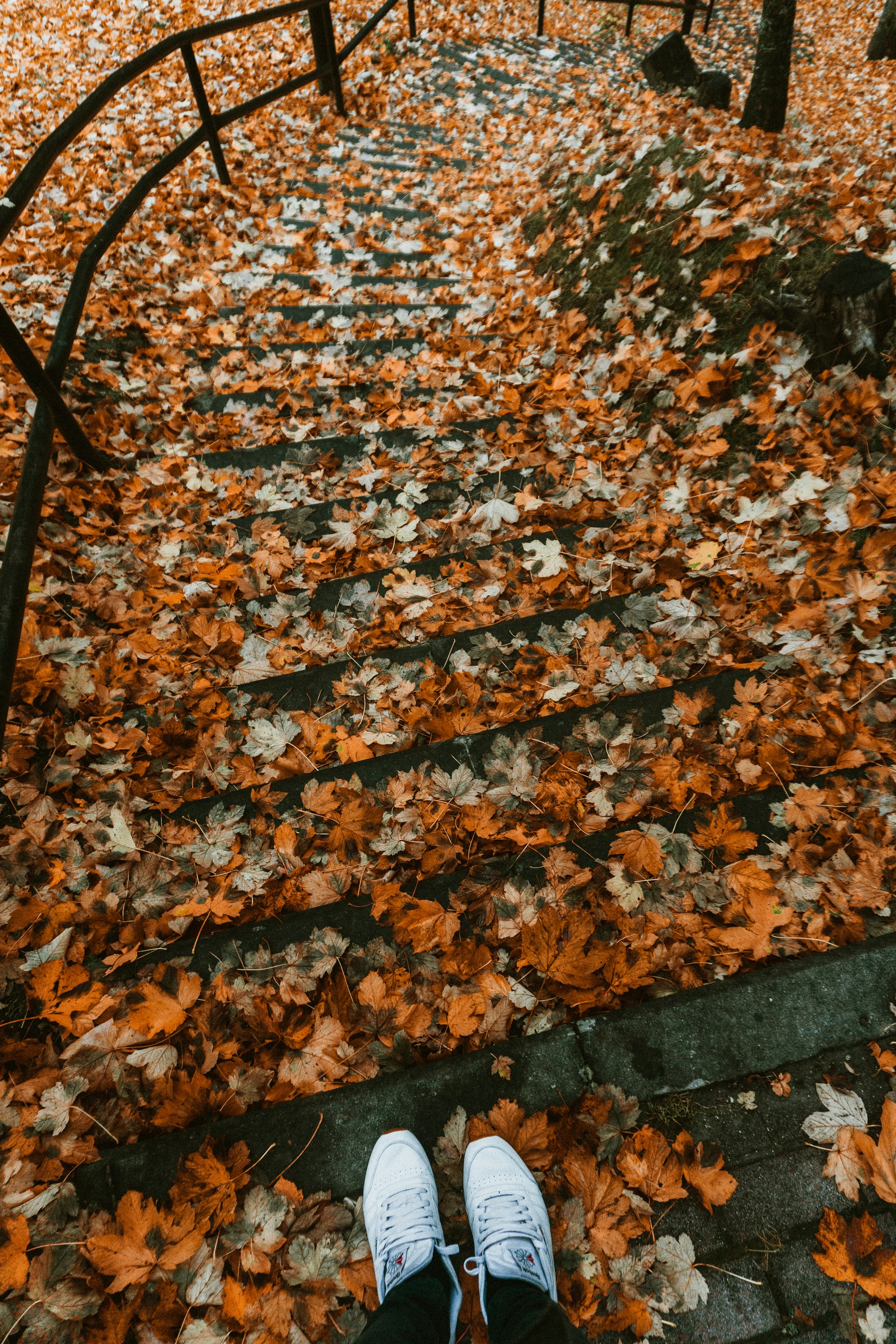Leaf-strewn stairs recede into autumn light, with white sneakers anchoring the scene.