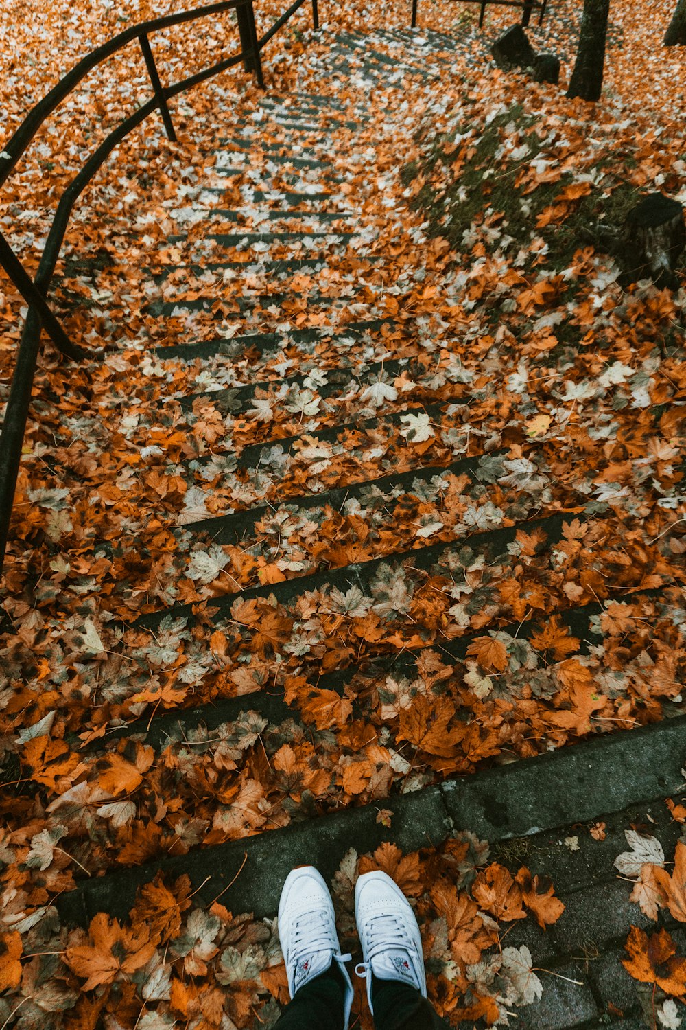 person standing on leaves covered stairs with railing near trees during day