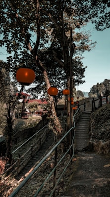 A serene morning view of a Disney park pathway lined with flowers and lanterns.