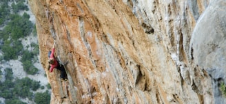 A person is climbing a steep, textured rock face with a rope for safety. The rock surface is rugged and varied in color from light tan to darker browns and grays, providing a challenging and dynamic climbing environment. In the background, a lush green landscape of trees and hills is visible, contrasting with the rocky foreground.