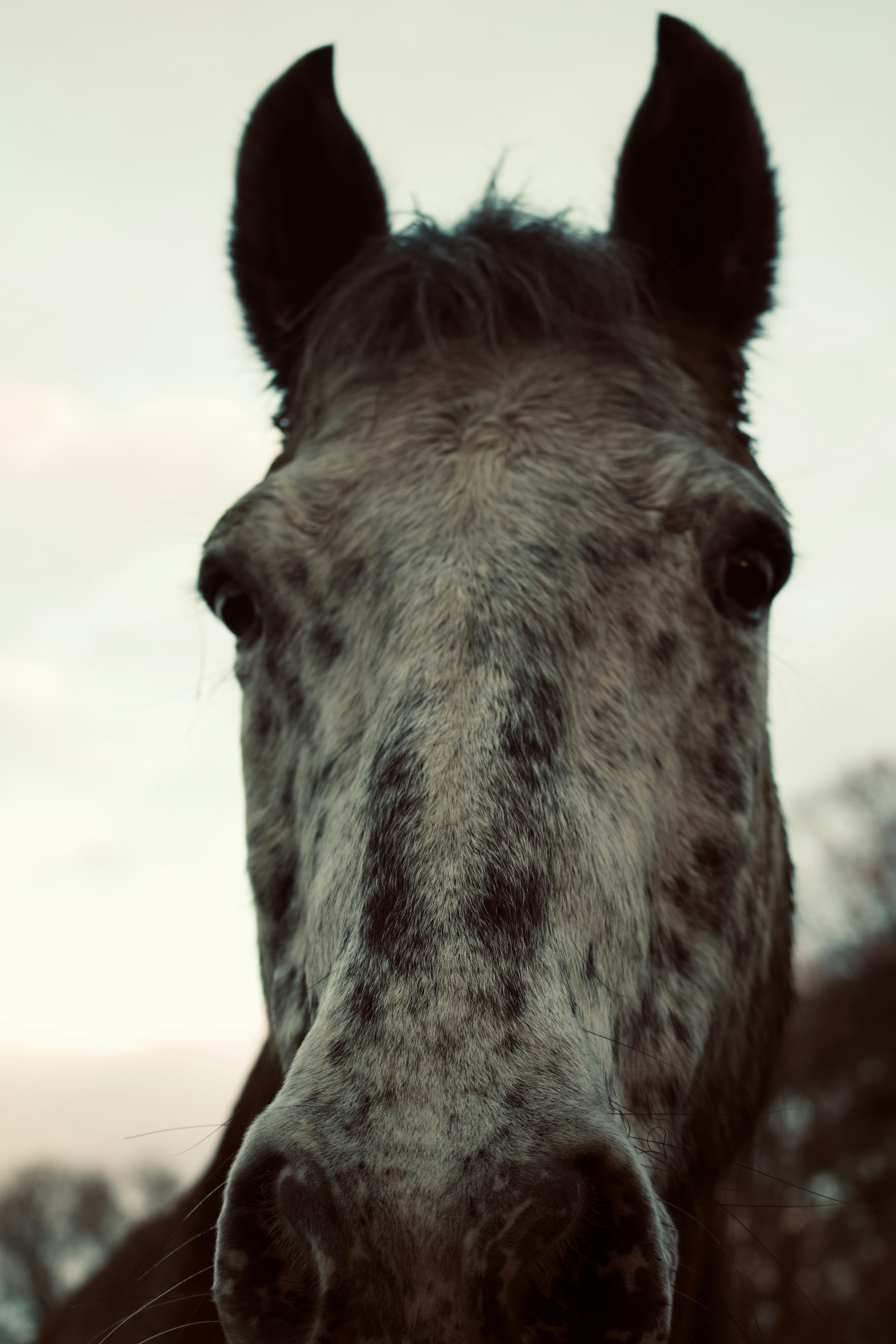 Photo by ehamilton9