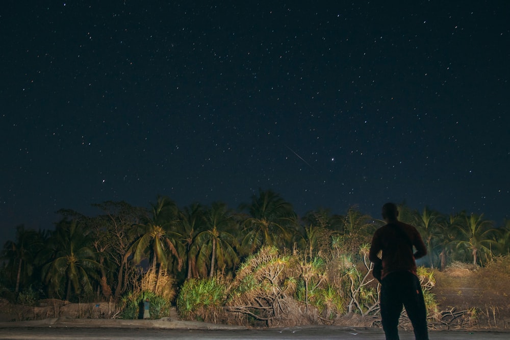 silhouette of man standing in front of green trees at night