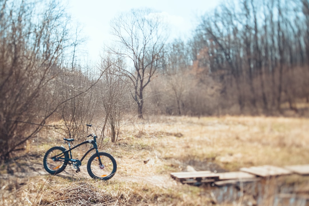 parked black bike beside bare trees