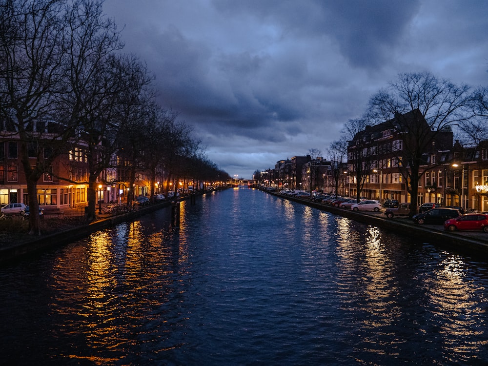 river surrounded by trees and houses