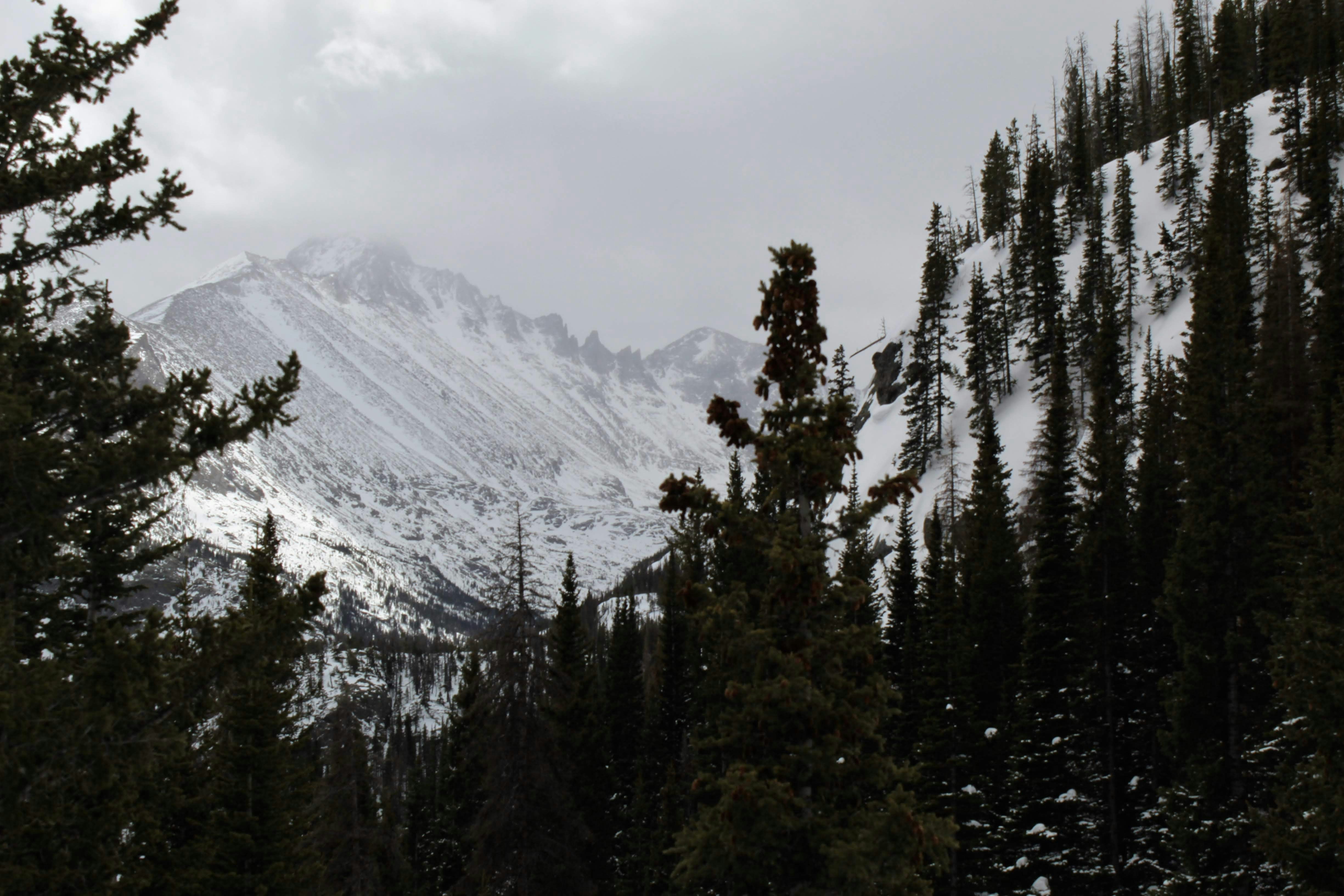 Photo by hanwallacee