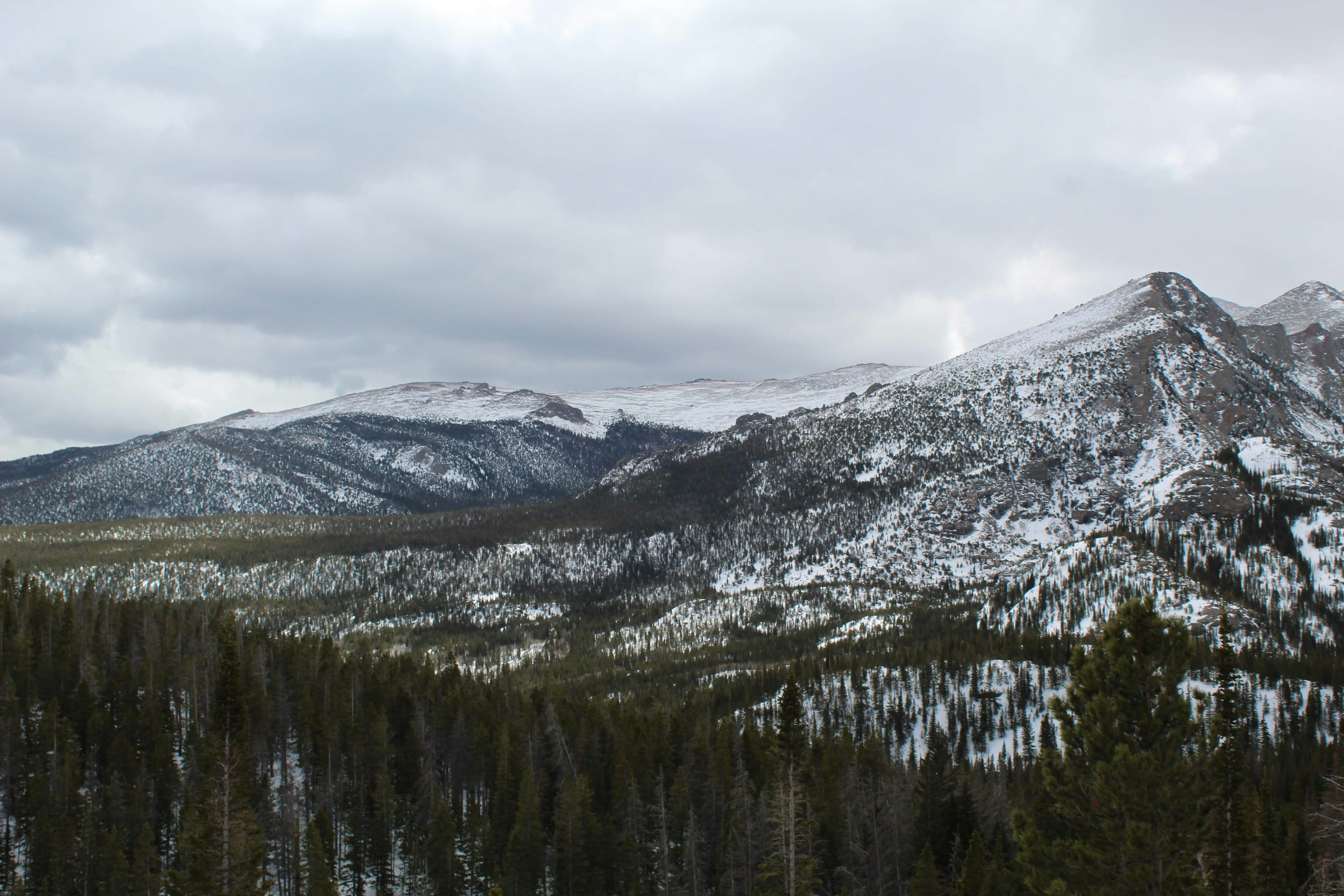 Photo by hanwallacee