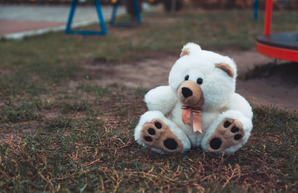 white and brown bear plush toy on grass