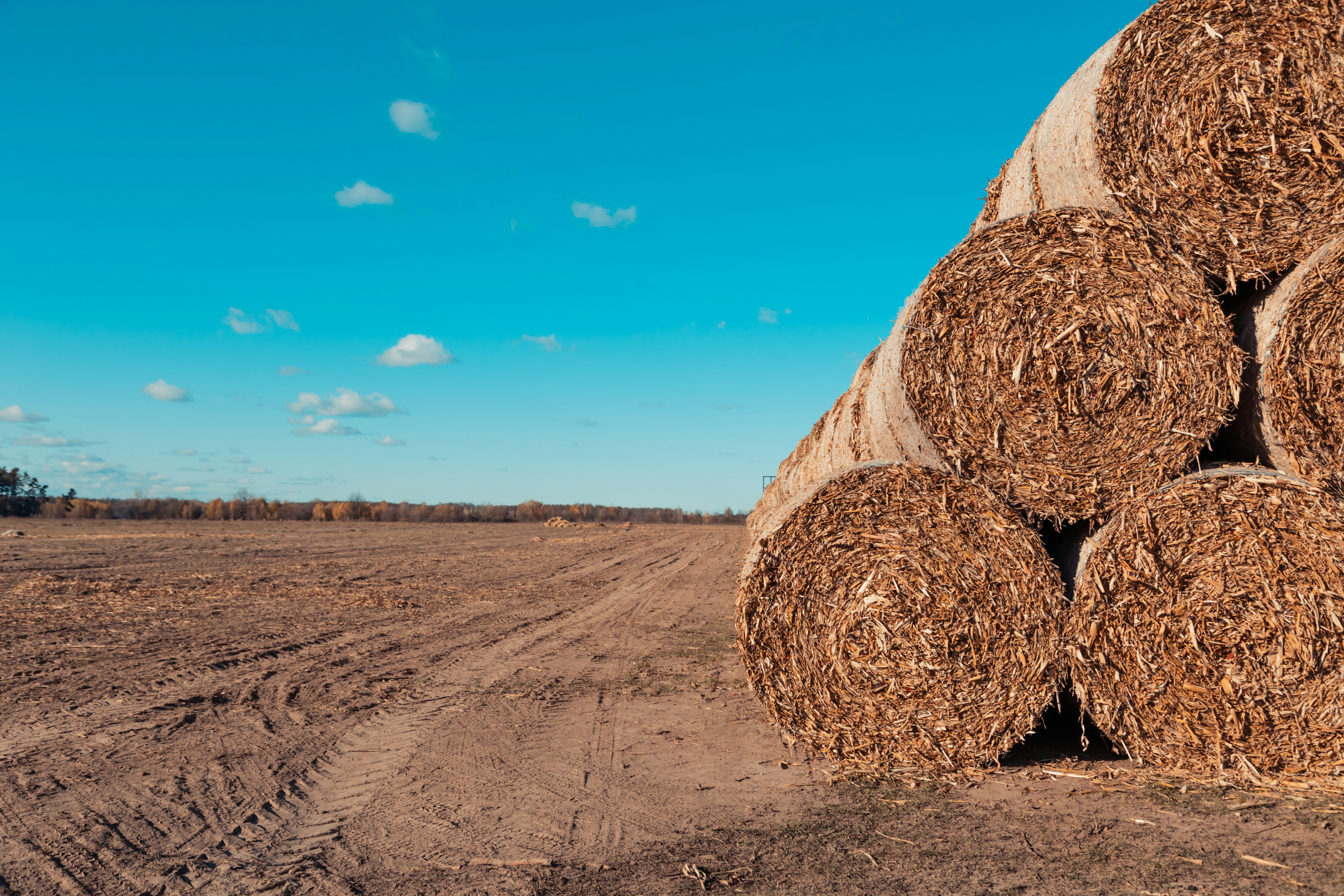 Définition de dryfarming Dictionnaire français
