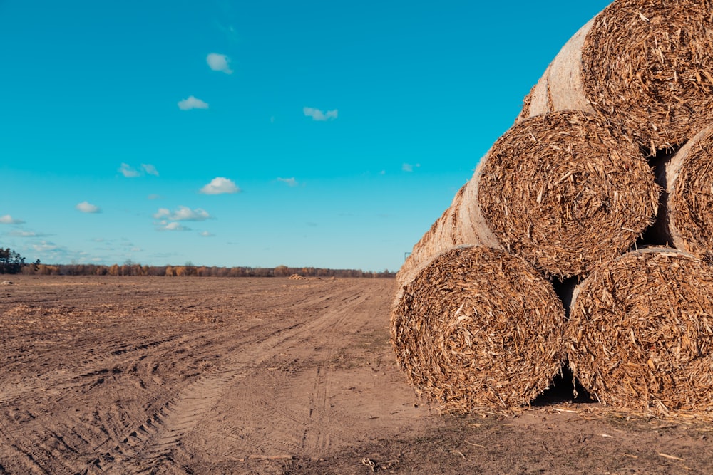 pile of brown hay bales