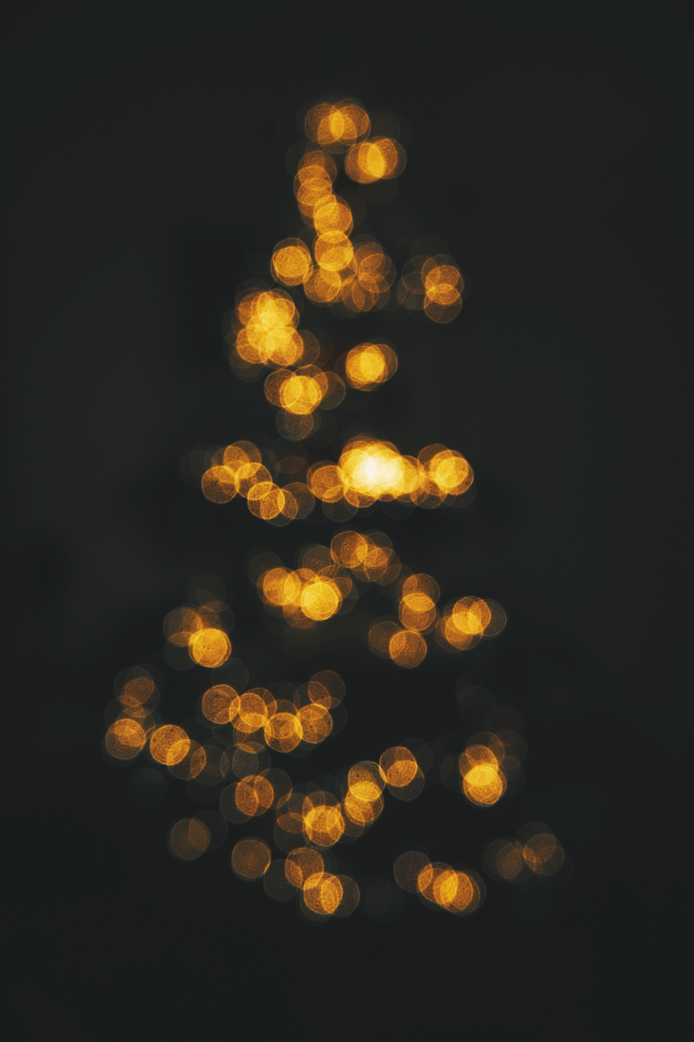 bokeh photography of a Christmas tree