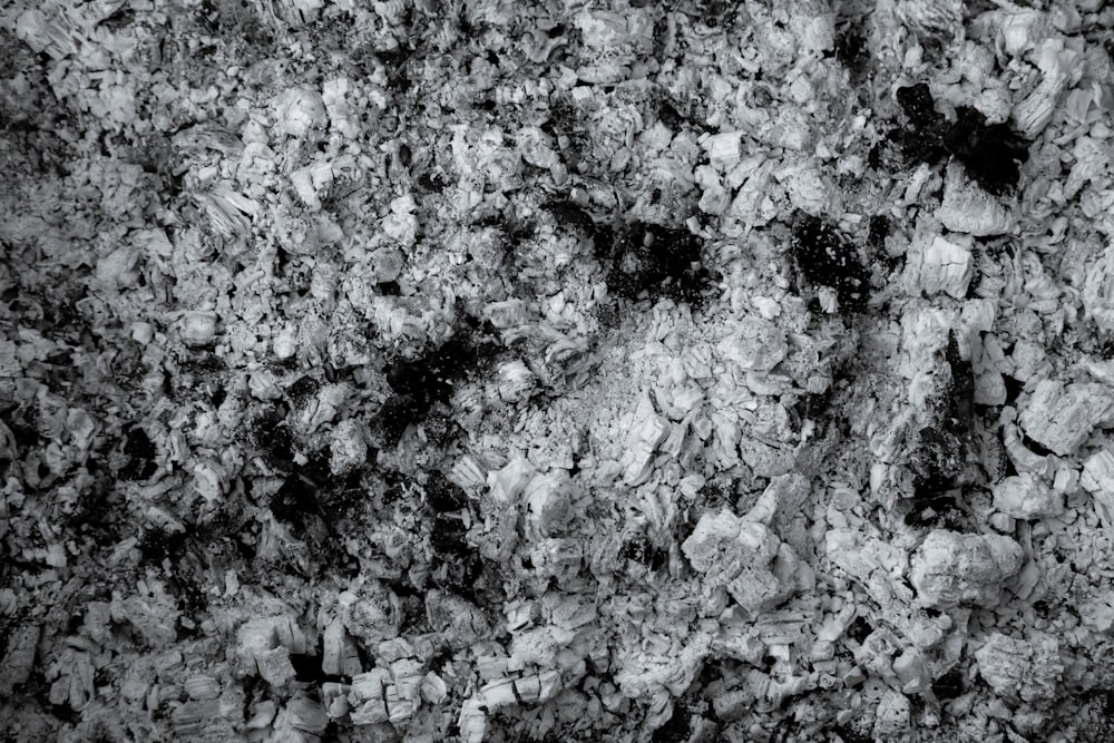 una foto in bianco e nero di rocce e terra