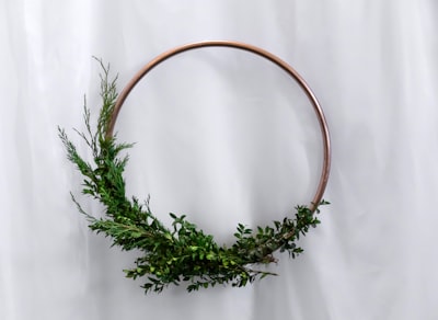 green-leafed plant wreath zoom background