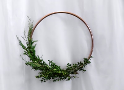 green-leafed plant wreath teams background