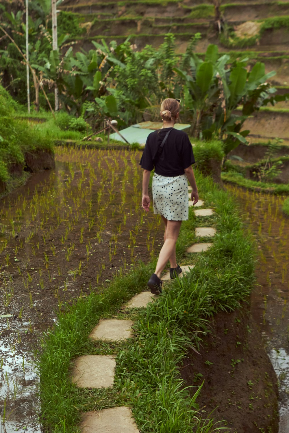 woman walking on rice field