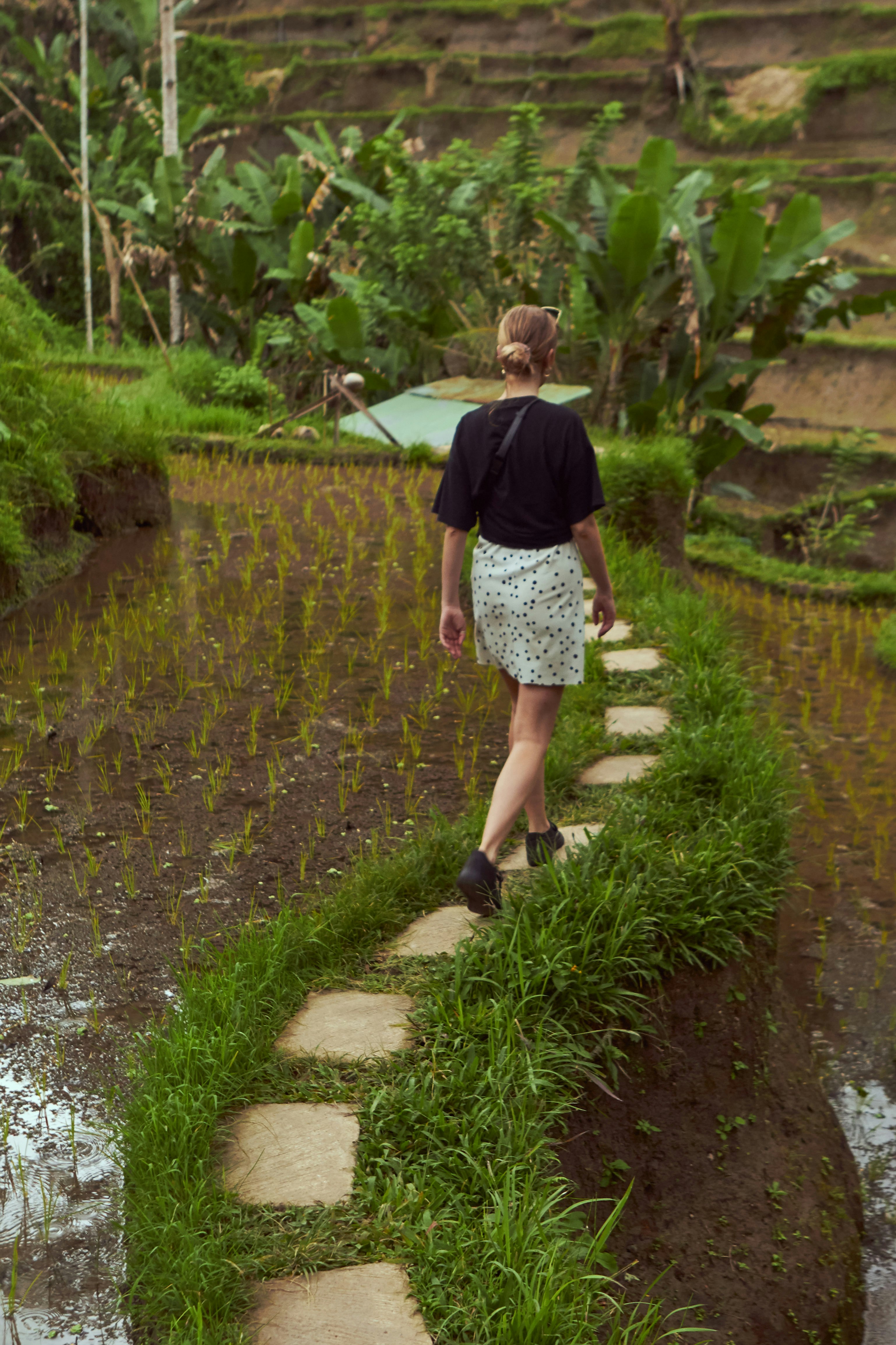 woman walking on rice field