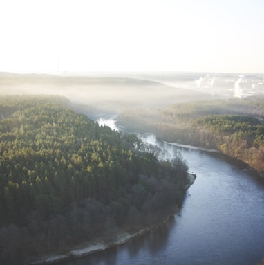 river surrounded by trees