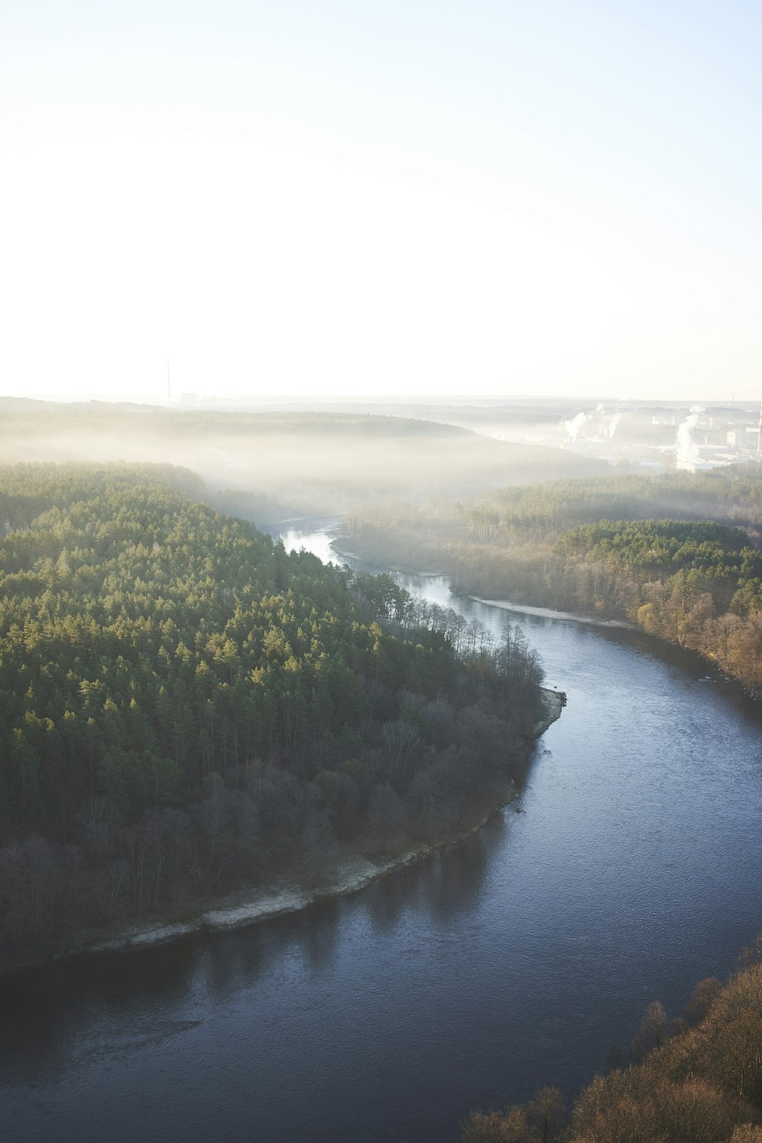 river surrounded by trees