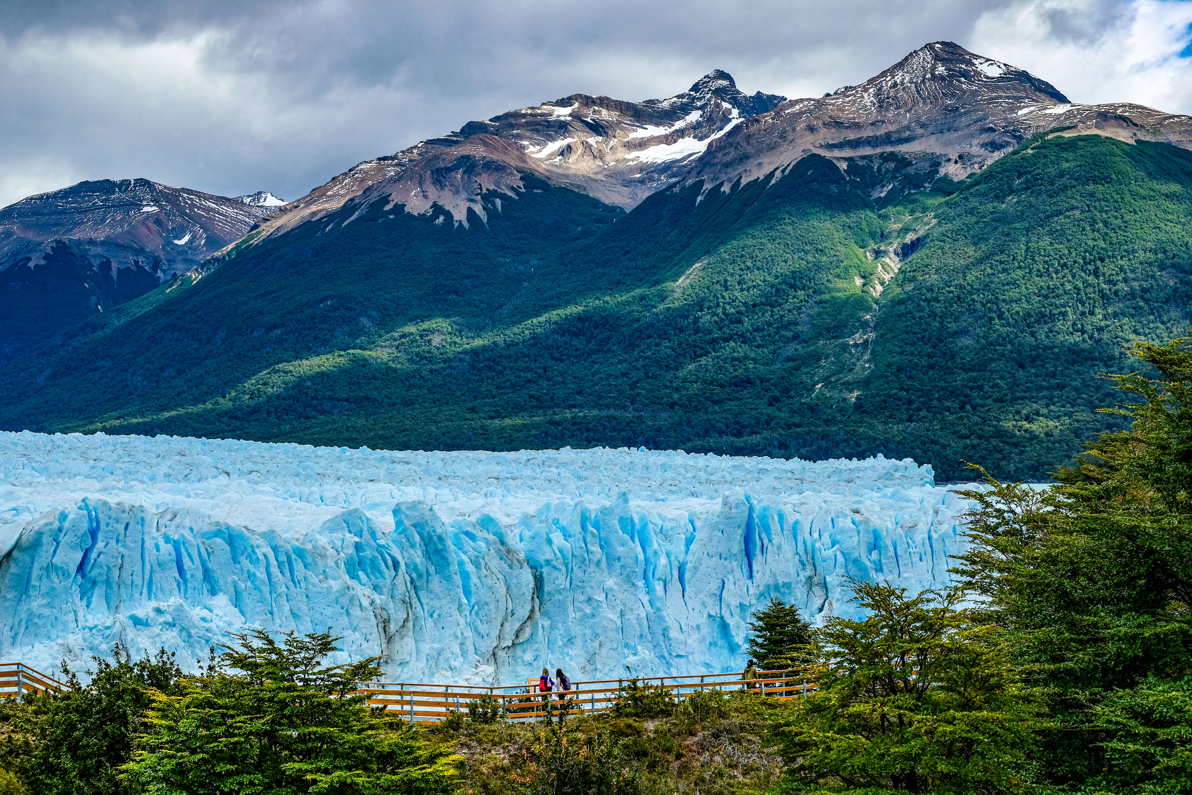 Perito Moreno ledyno siena ir žali kalnų šlaitai Los Glaciares nacionaliniame parke, Argentina