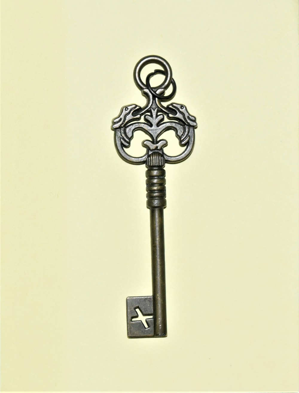 grey skeleton key