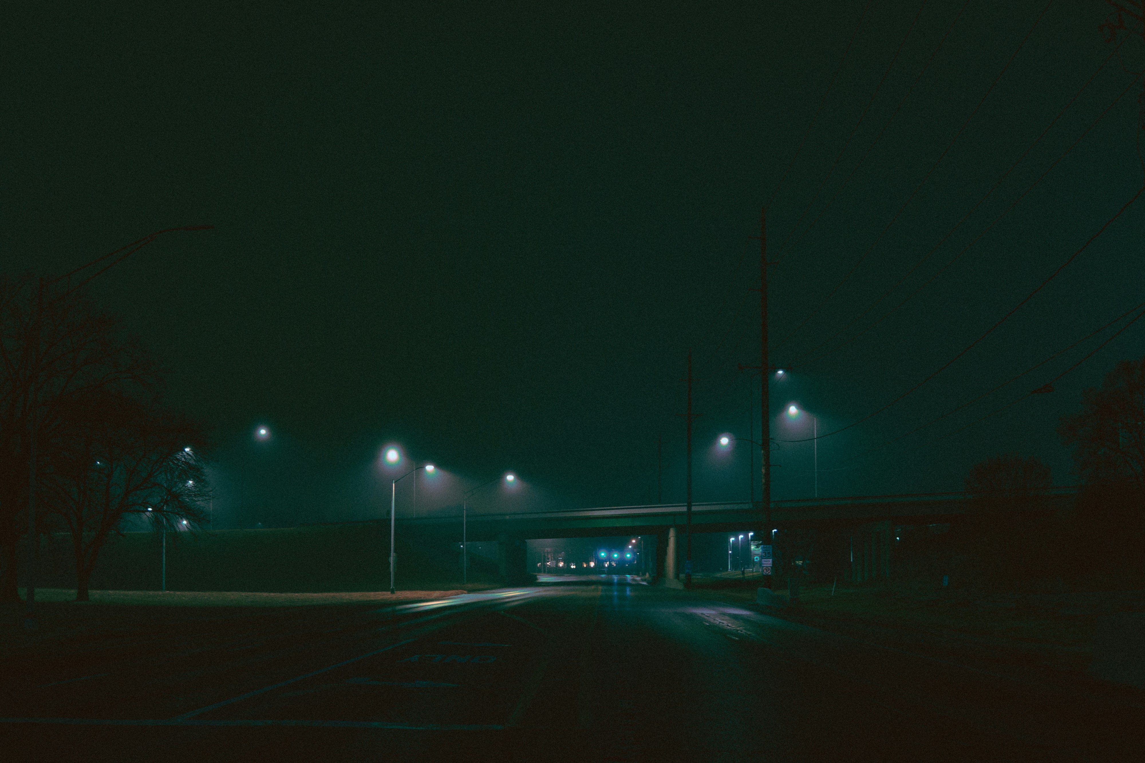 Photo by bitter_fruitt