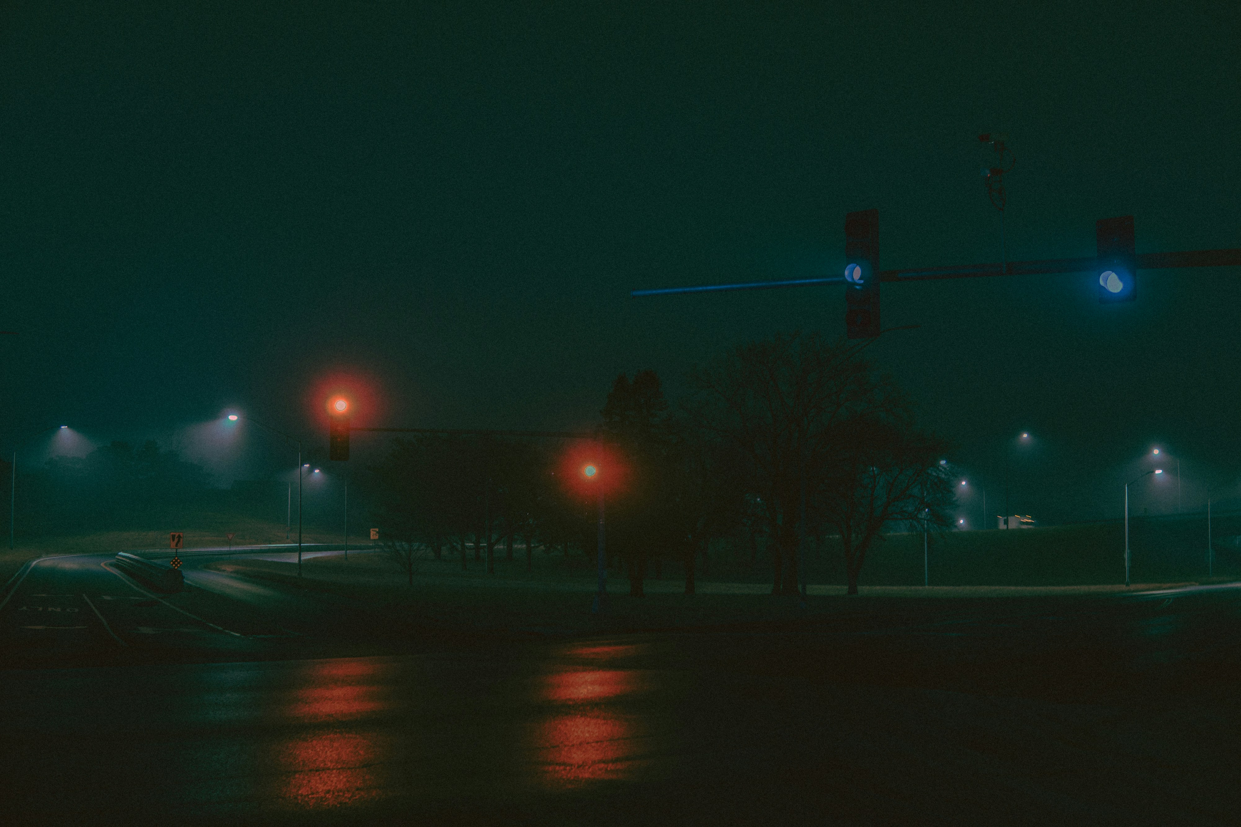 Photo by bitter_fruitt