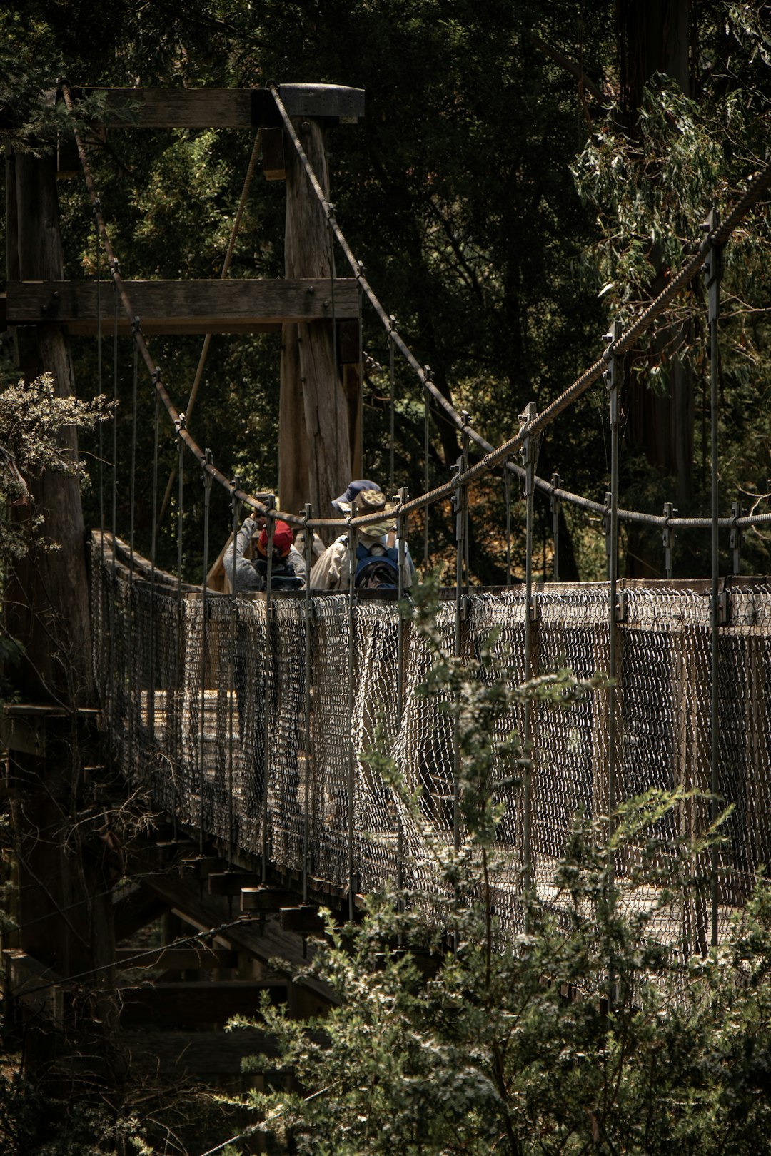 two people walking along a hanging bridge