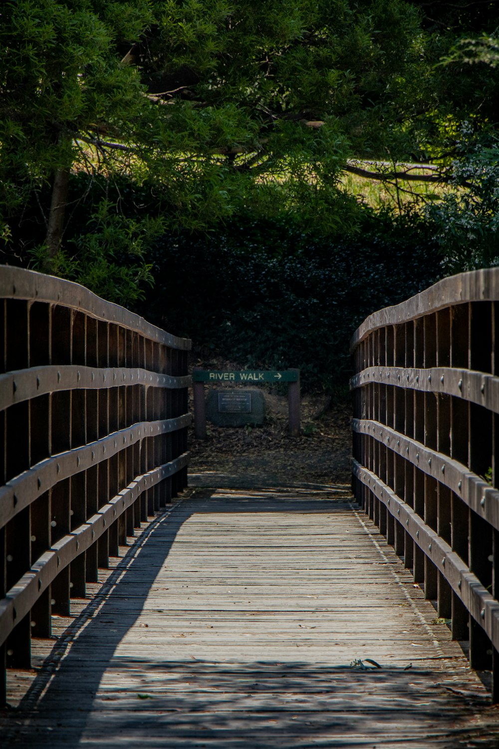 brown wooden bridge during daytime