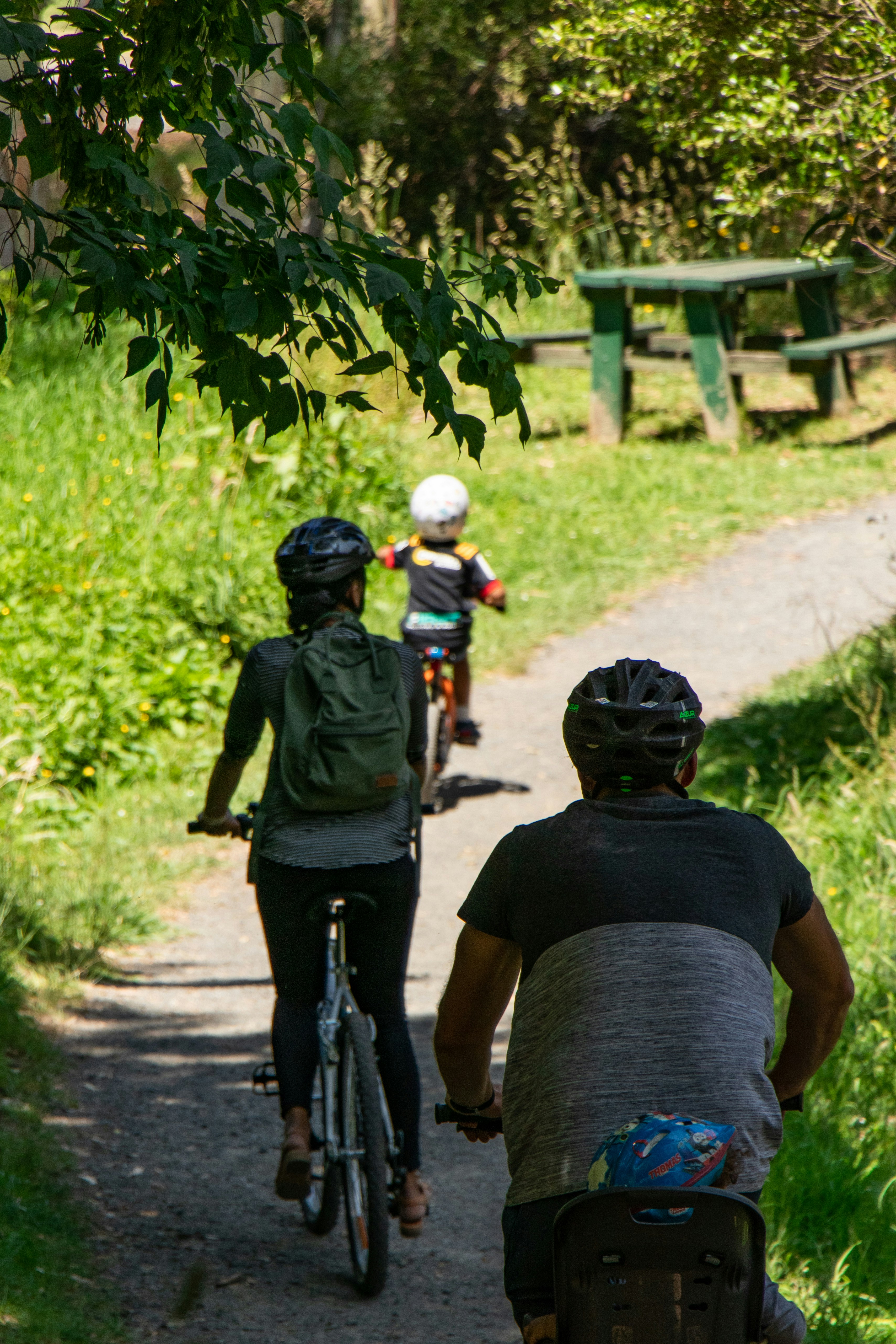Family tandem bicycle on scenic path, green trees, warm sunlight