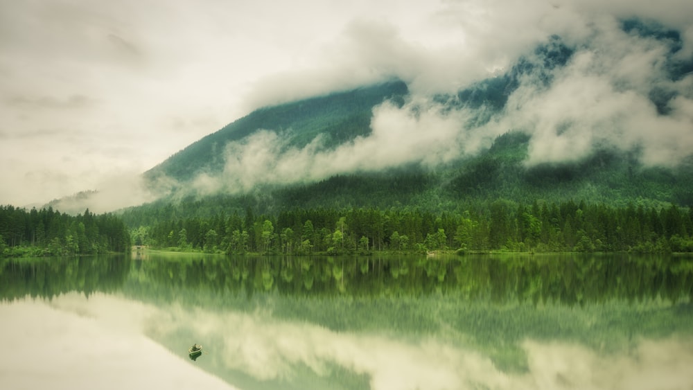 lago na floresta