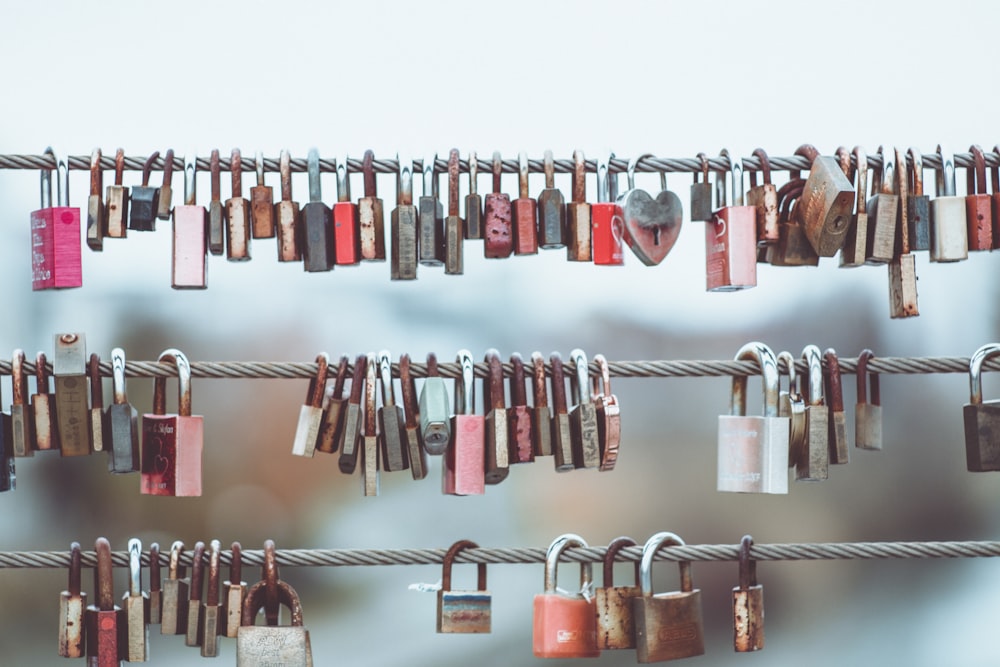 minimalist photography of hanging love padlocks