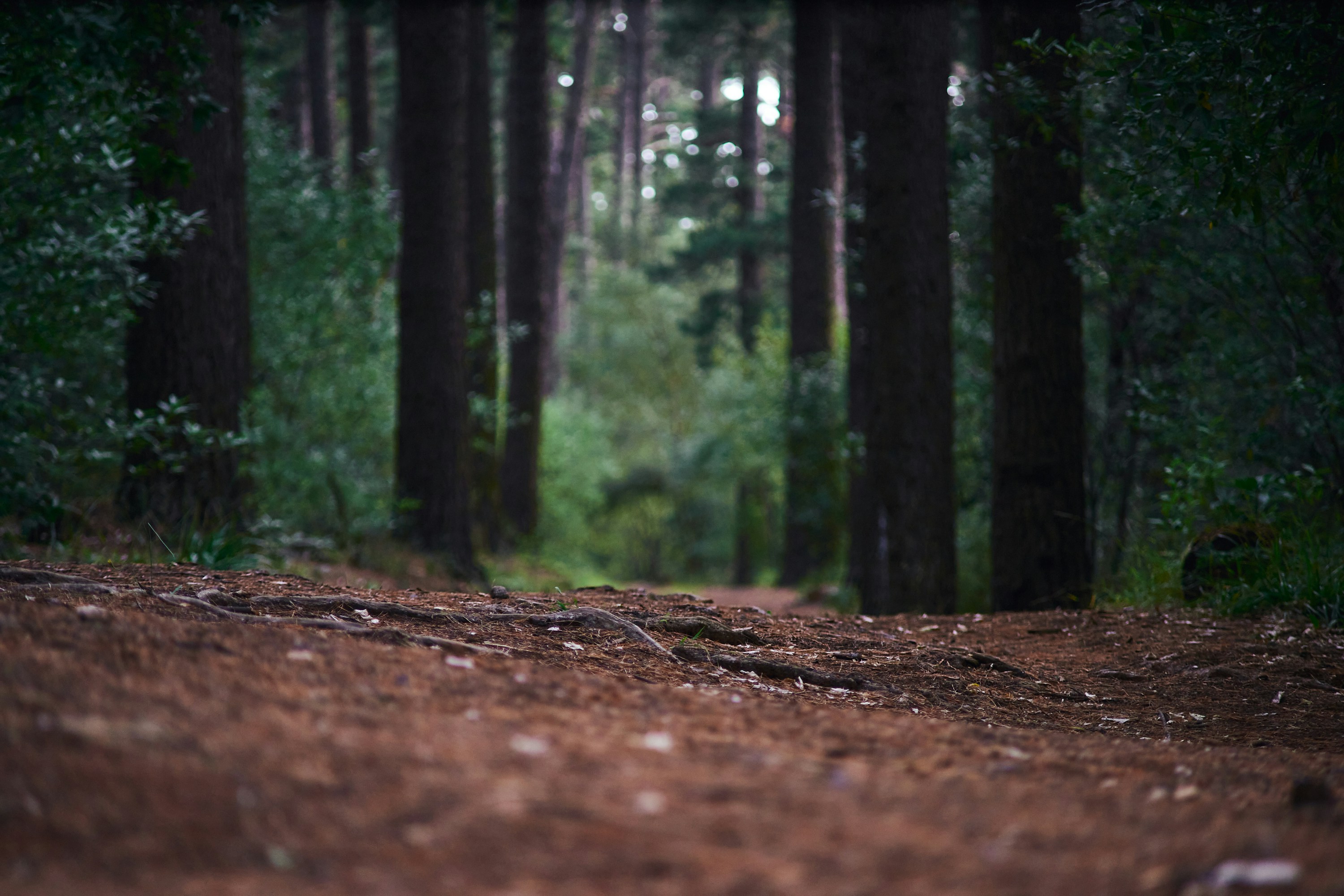 Photo by kameragraaf