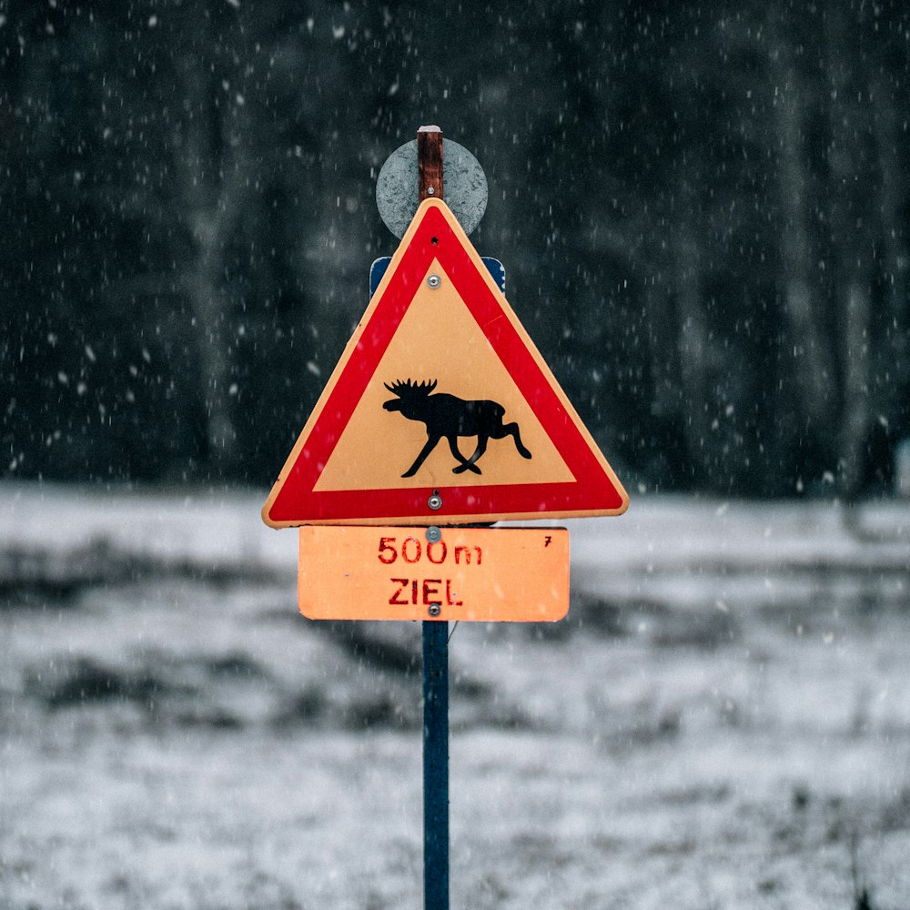 moose signage