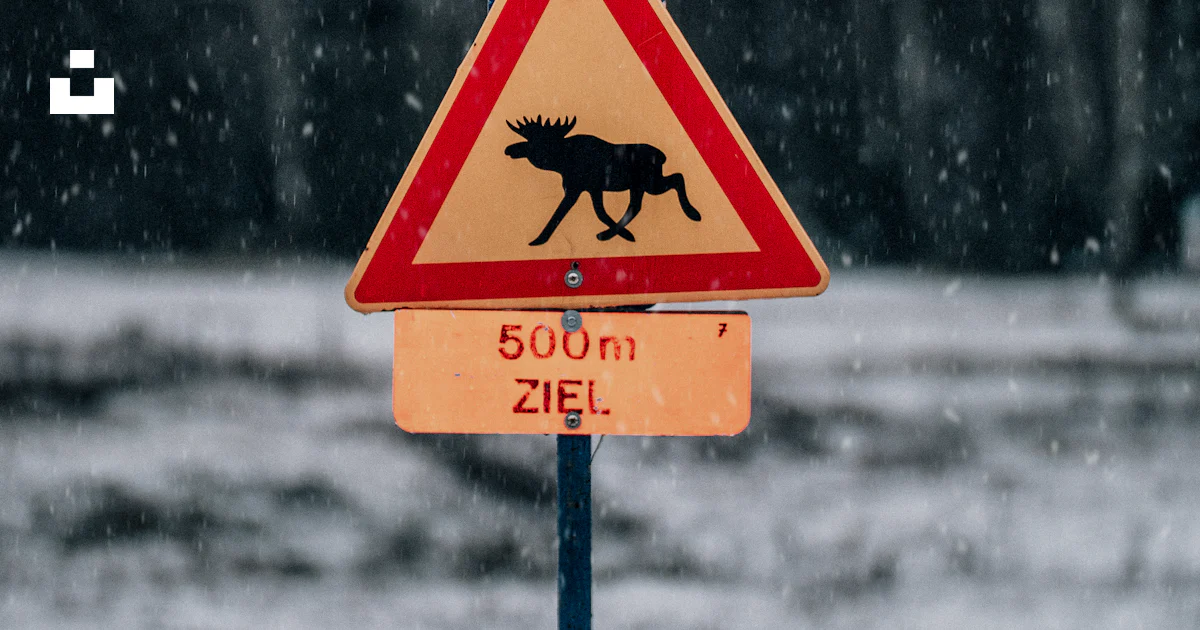 Moose Hand Sign Moose signage photo – Free Road sign Image on Unsplash