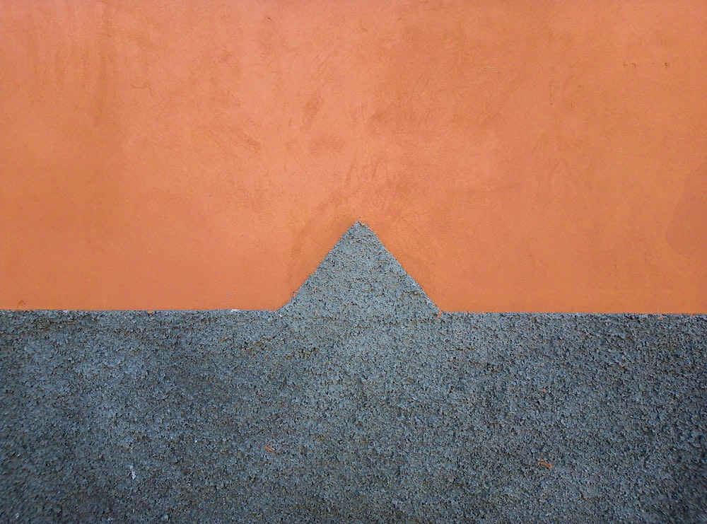 an orange and blue wall with a black and white cat