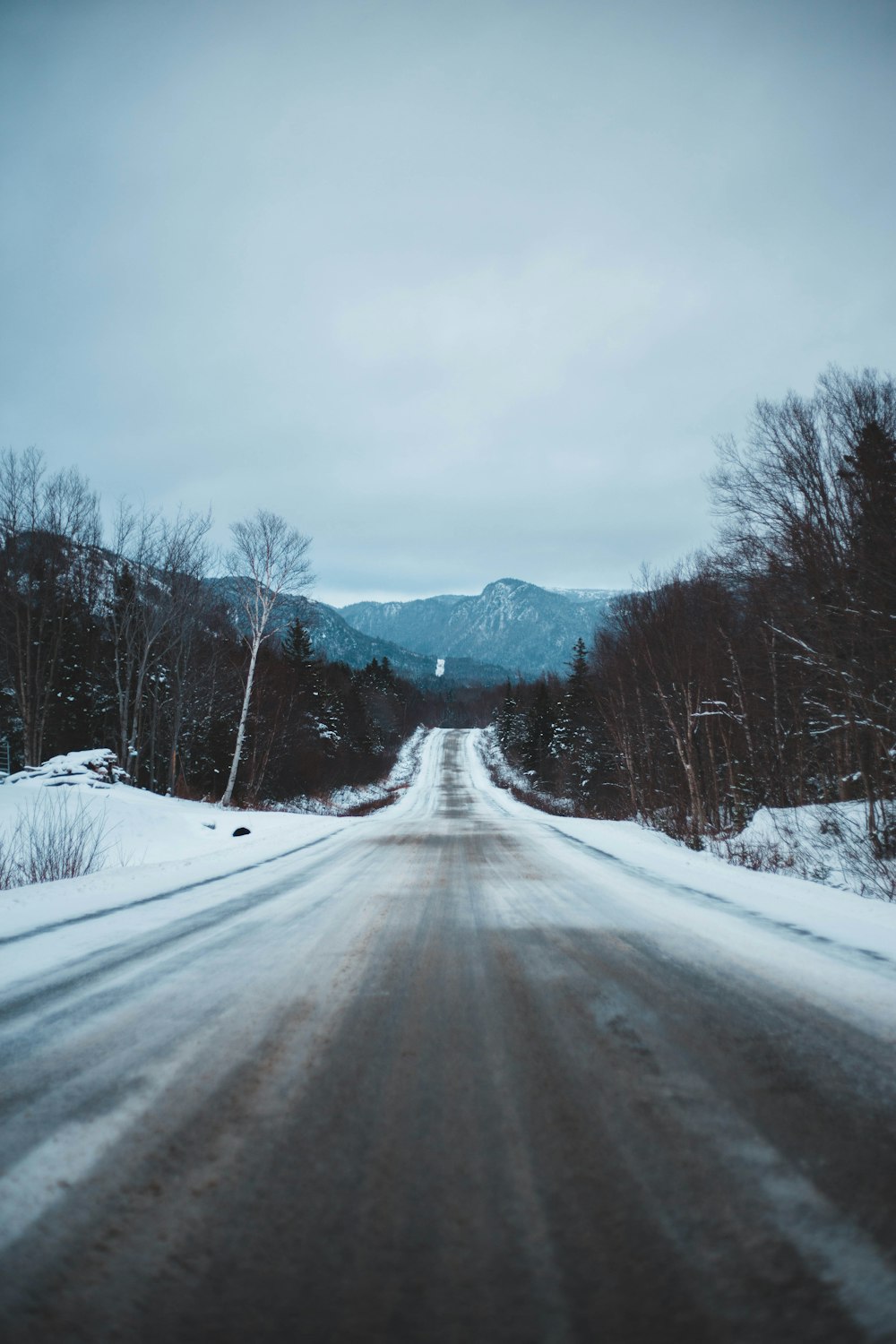 brown and white road