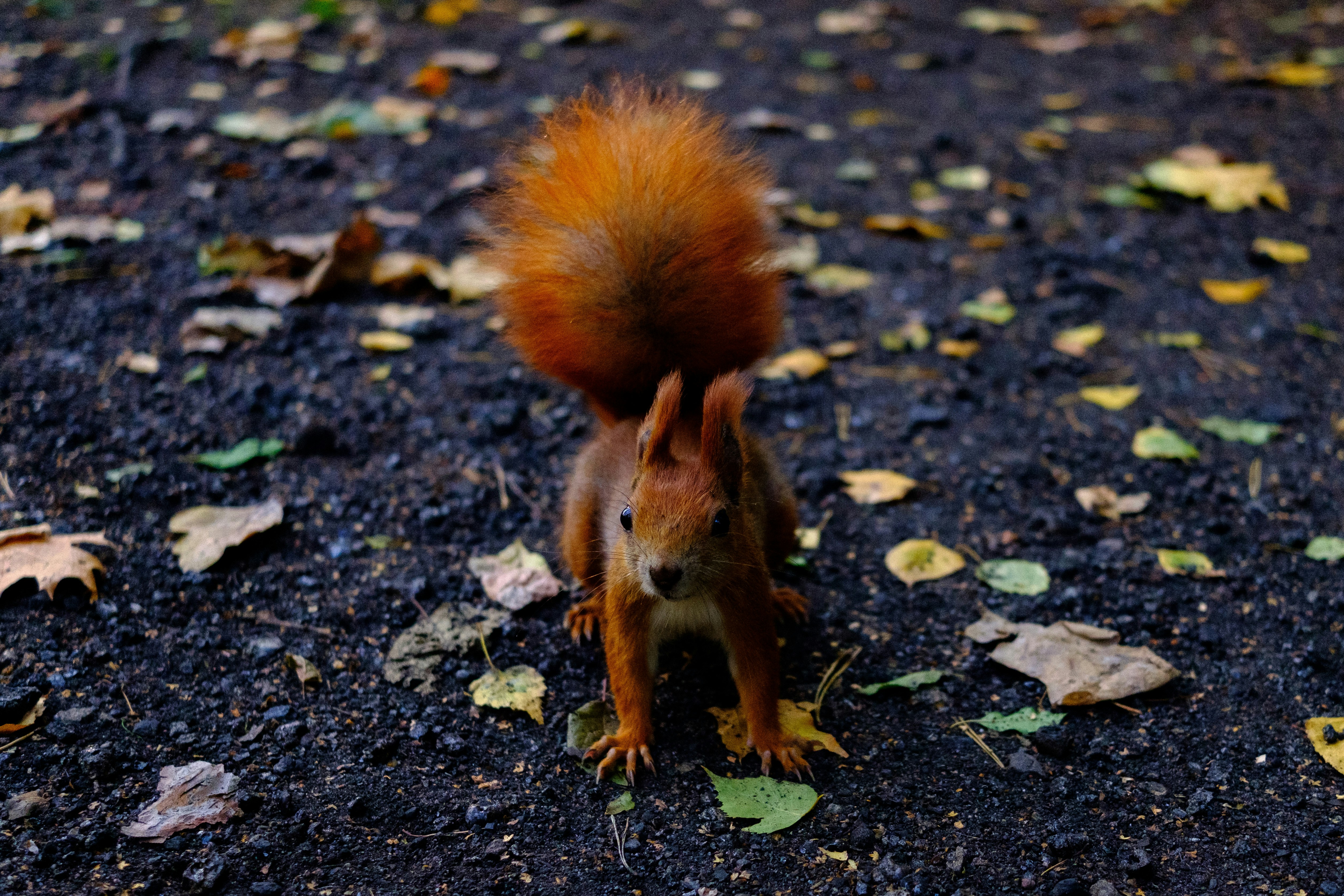 Łódź