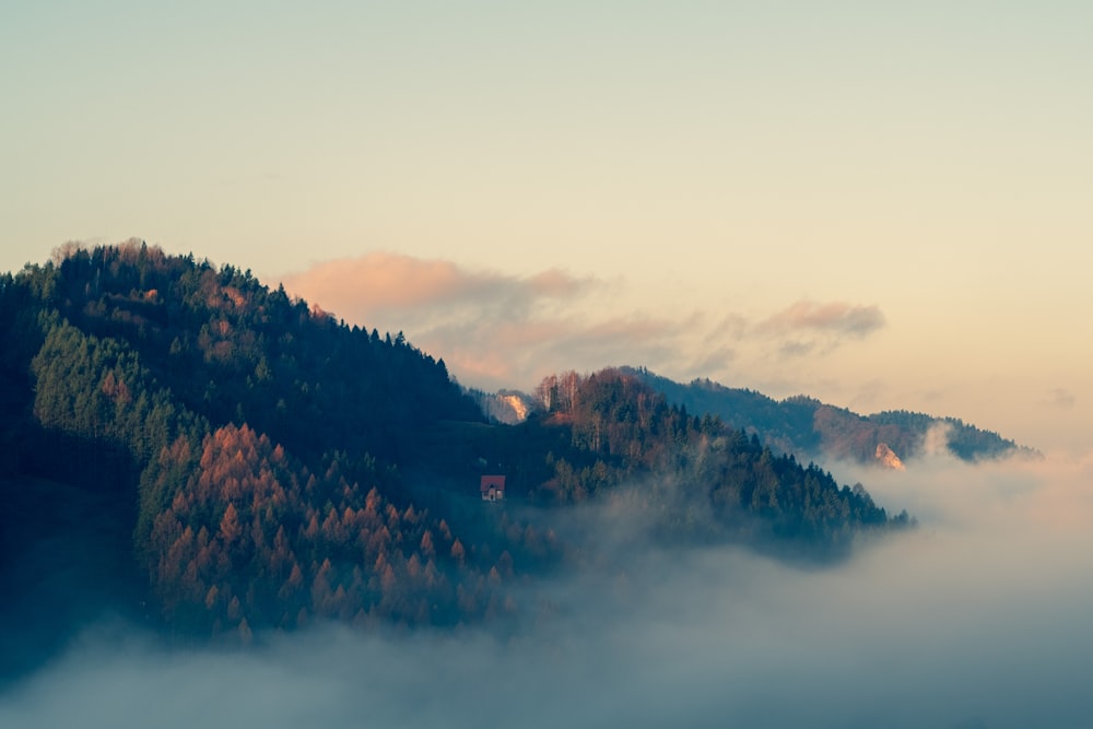 aerial photography of mountain ridge