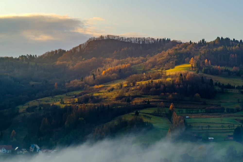 landscape photography of a mountain during daytime