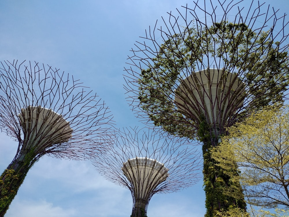 low-angle photography of Gardens by the Bay in Singapore