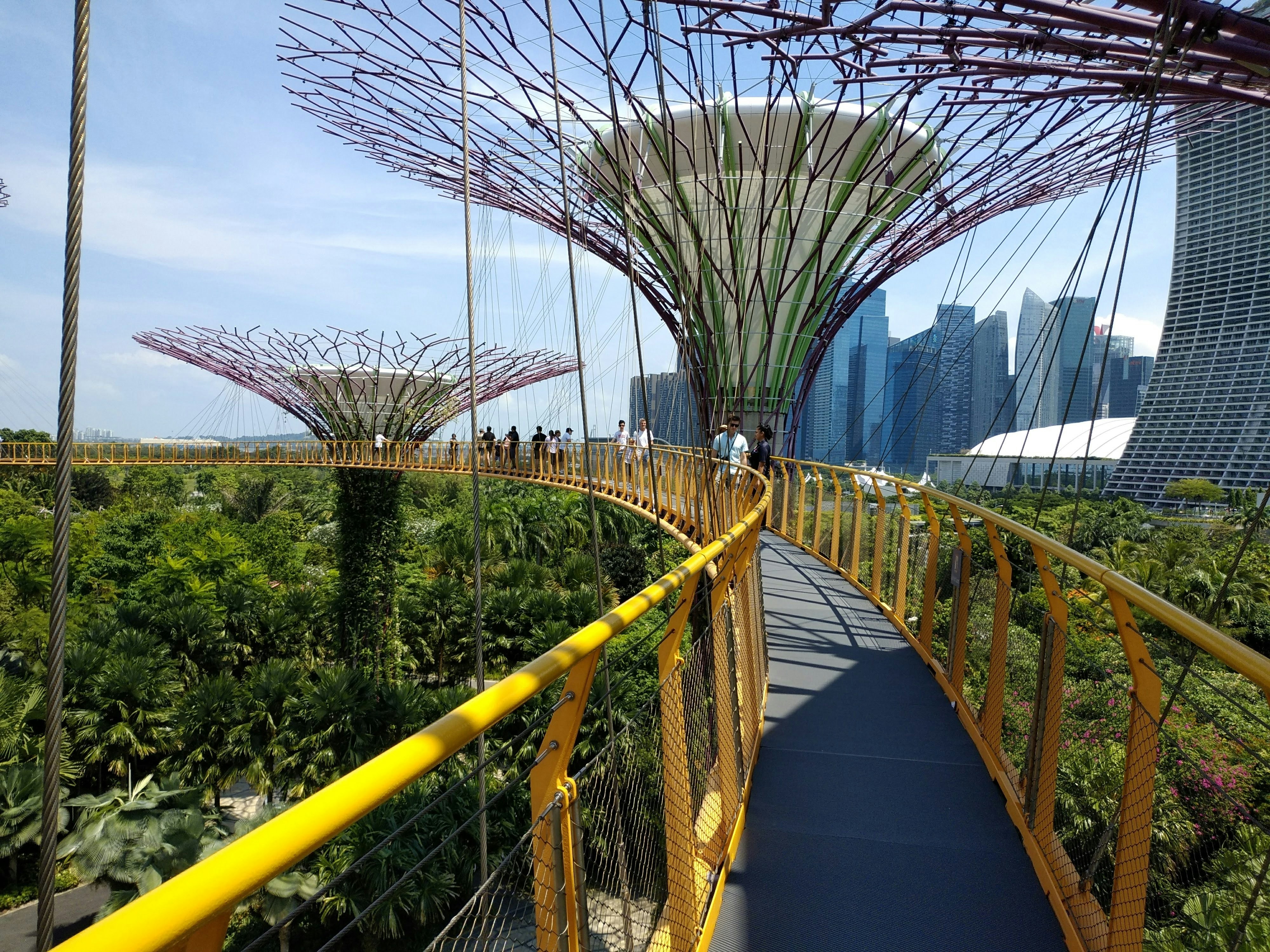 Gardens by the Bay, Singapore during daytime