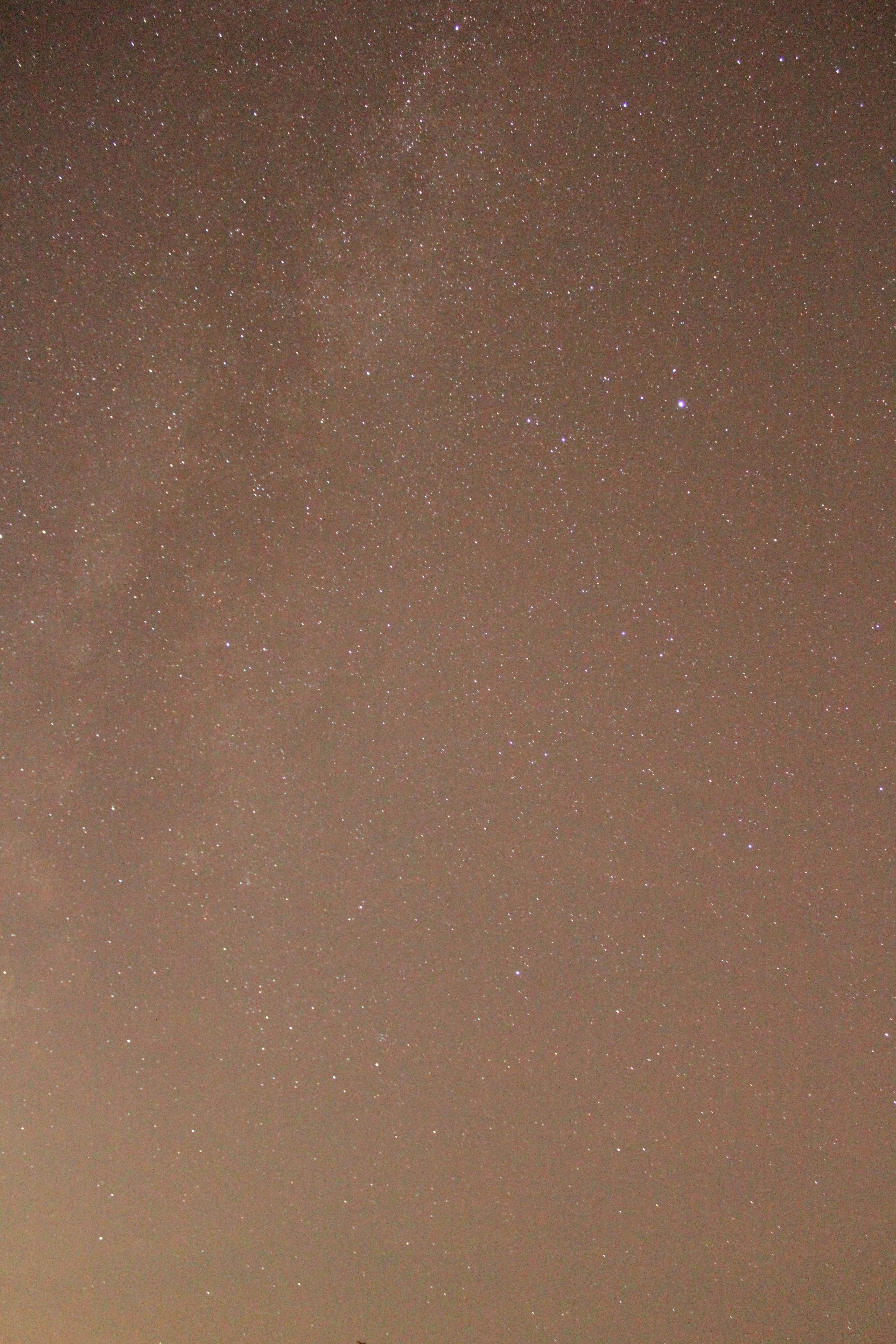 Photo by colefreeman