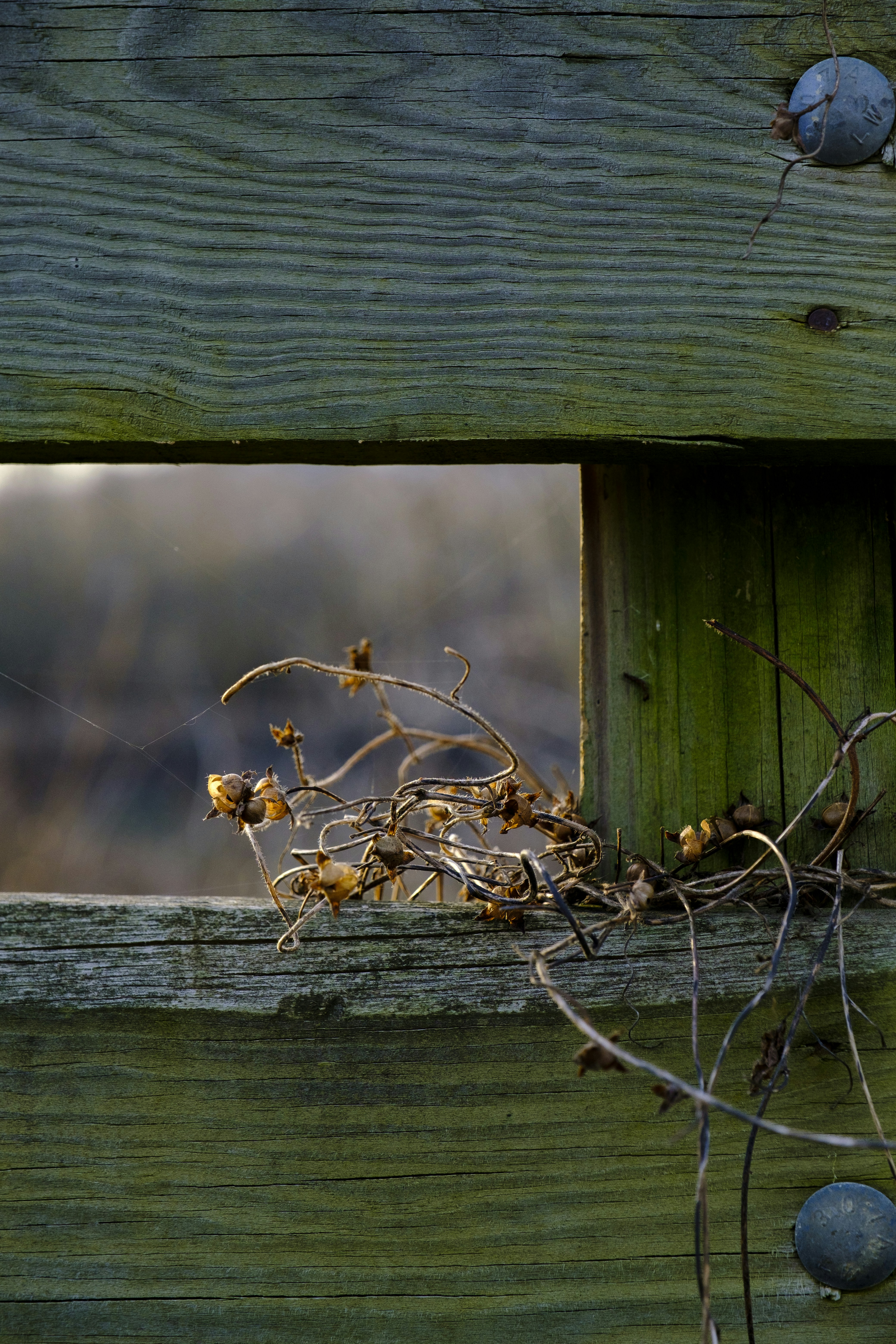 brown wooden fence