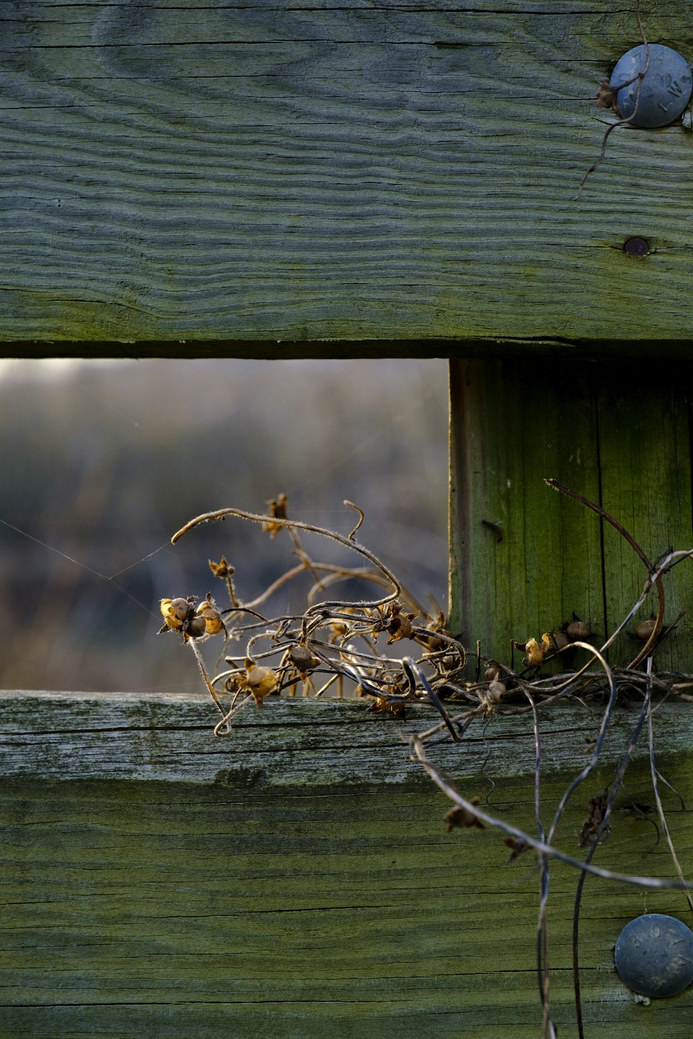 brown wooden fence