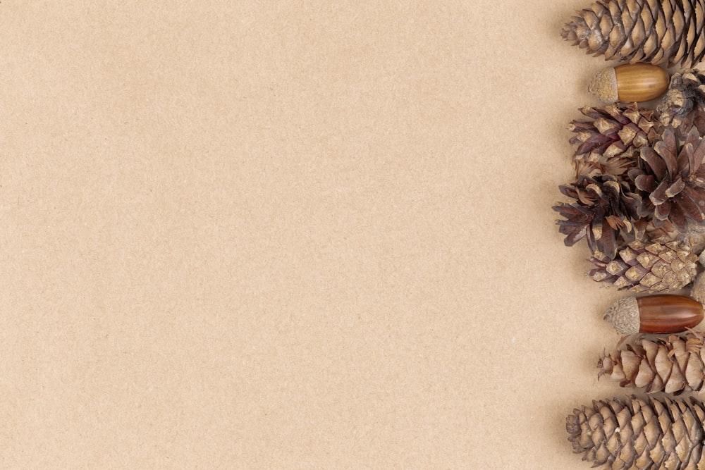 Minimalistische Fotografie von braunen Tannenzapfen und Eicheln auf braunem Hintergrund