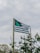A flag featuring a large green cannabis leaf on a black background with green and black stripes is fluttering on a pole. There are plants with leaves in the foreground and a cloudy sky in the background.