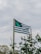 A flag featuring a large green cannabis leaf on a black background with green and black stripes is fluttering on a pole. There are plants with leaves in the foreground and a cloudy sky in the background.
