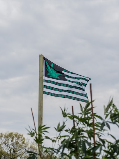 A flag featuring a large green cannabis leaf on a black background with green and black stripes is fluttering on a pole. There are plants with leaves in the foreground and a cloudy sky in the background.